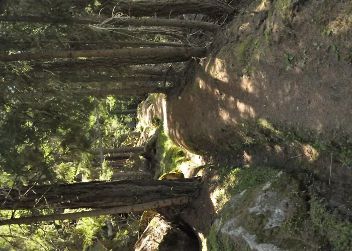 Helena By Interhome *