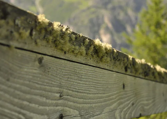 Helena By Interhome * Sankt Niklaus